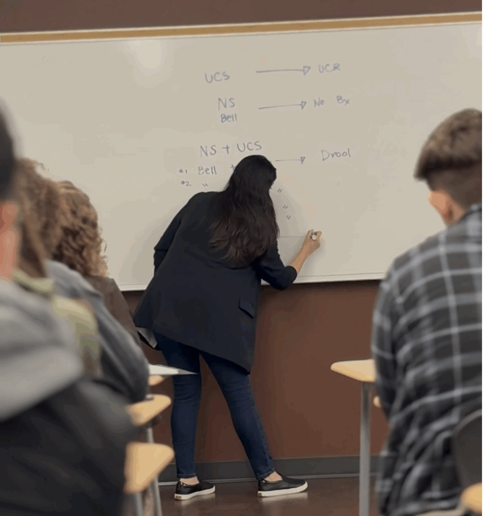 Paola writing information on a whiteboard